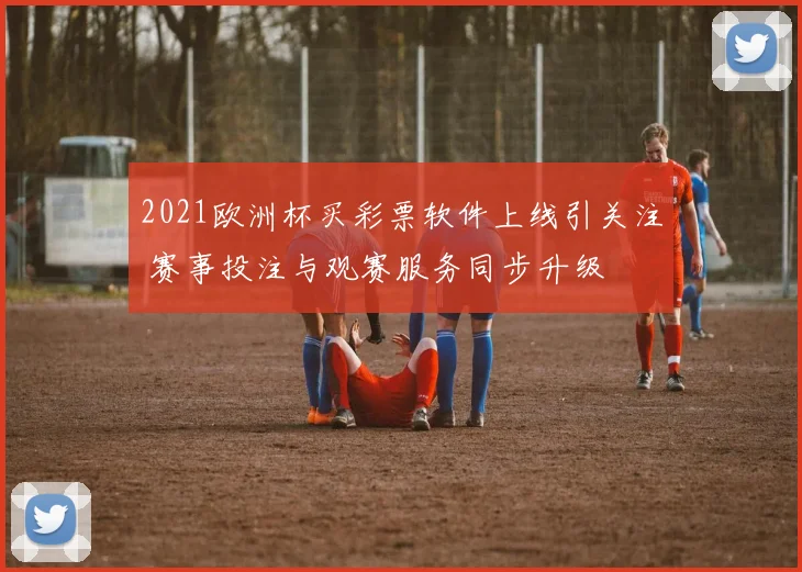 2021欧洲杯买彩票软件上线引关注 赛事投注与观赛服务同步升级
