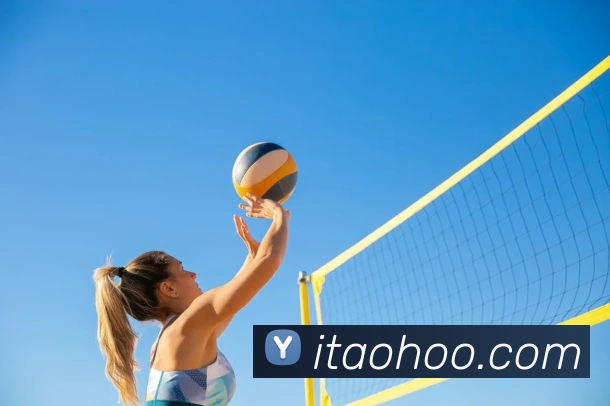 华体育会登录网官网APP 封面图